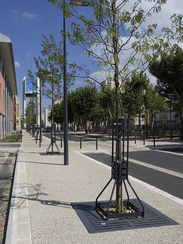 Eine städtische Straße mit neu angepflanzten Bäumen, die mit Metallgittern geschützt sind, entlang eines Bürgersteigs.