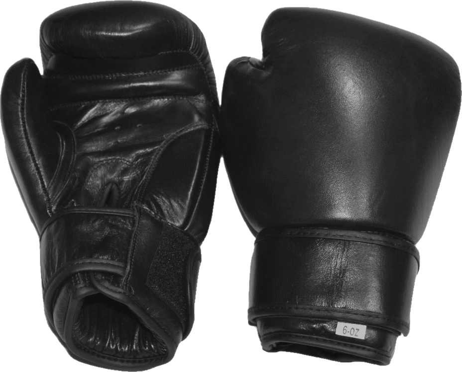 Zwei schwarze Boxhandschuhe aus Leder, geeignet für professionelles Boxtraining