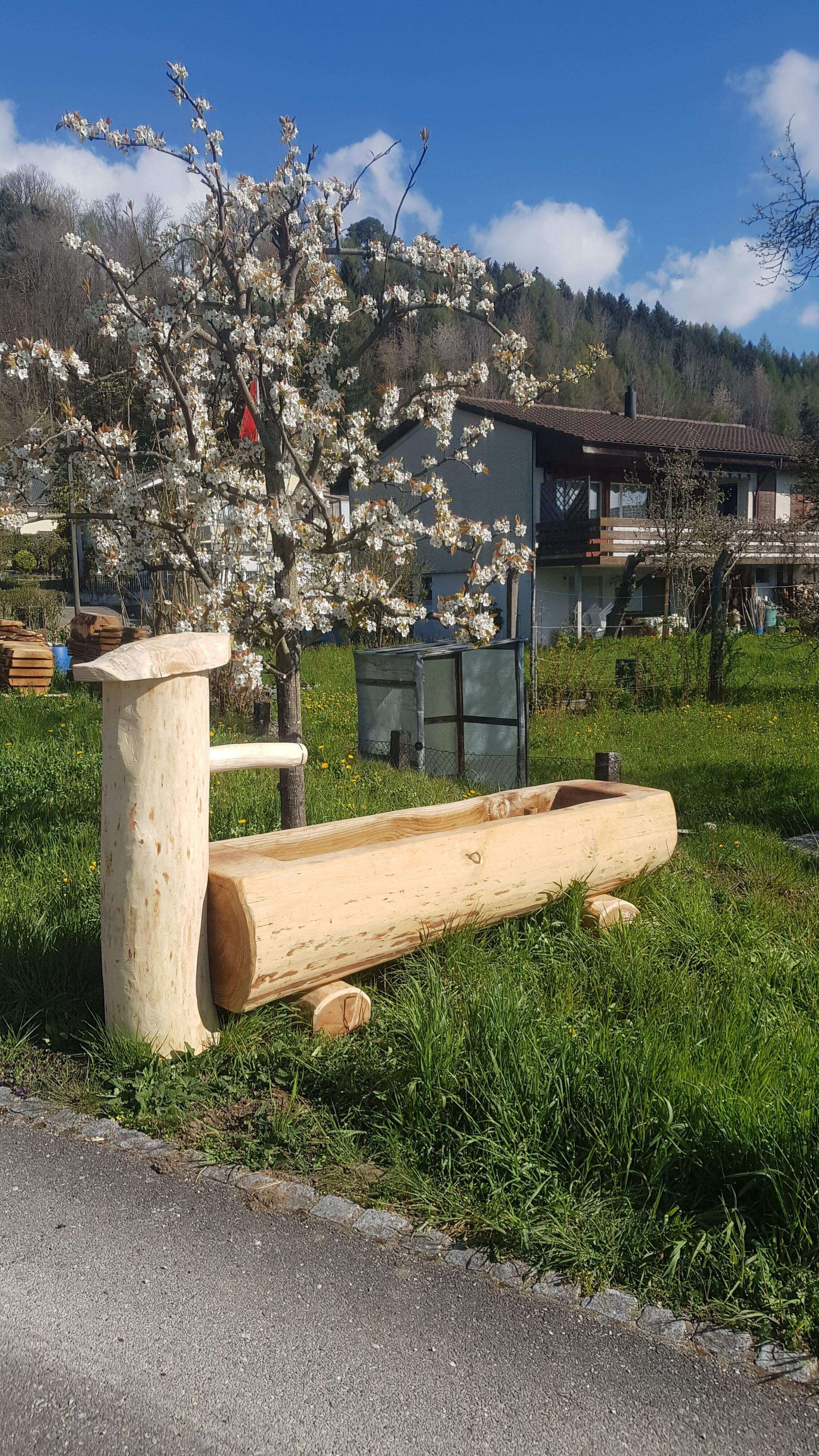 Une fontaine en bois traditionnelle se trouve dans une prairie à côté d'un cerisier en fleurs. En arrière-plan, on aperçoit une maison et des collines boisées.