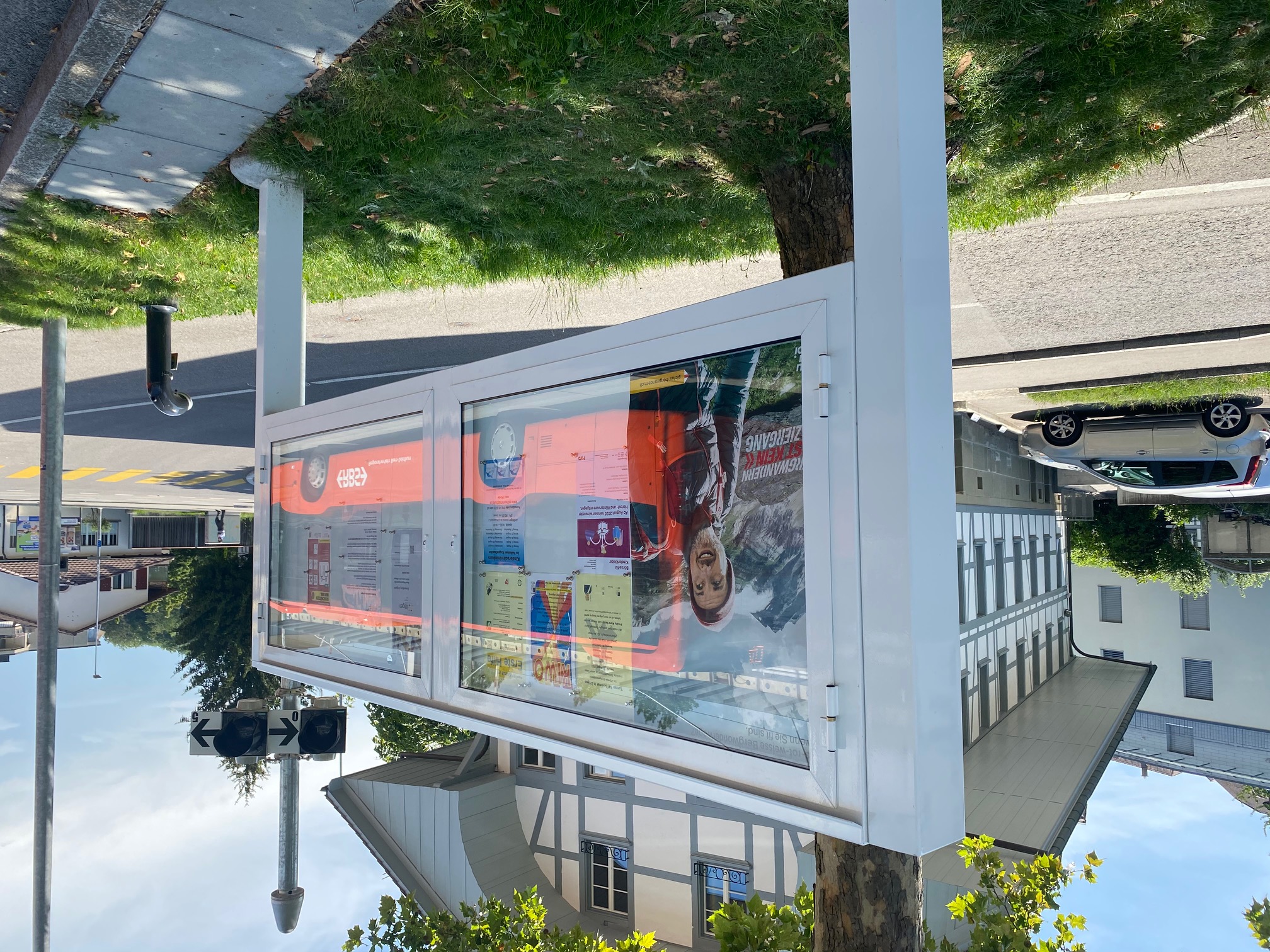 Eine Anzeigetafel mit Plakaten und Informationen an einem Baum in einer städtischen Umgebung