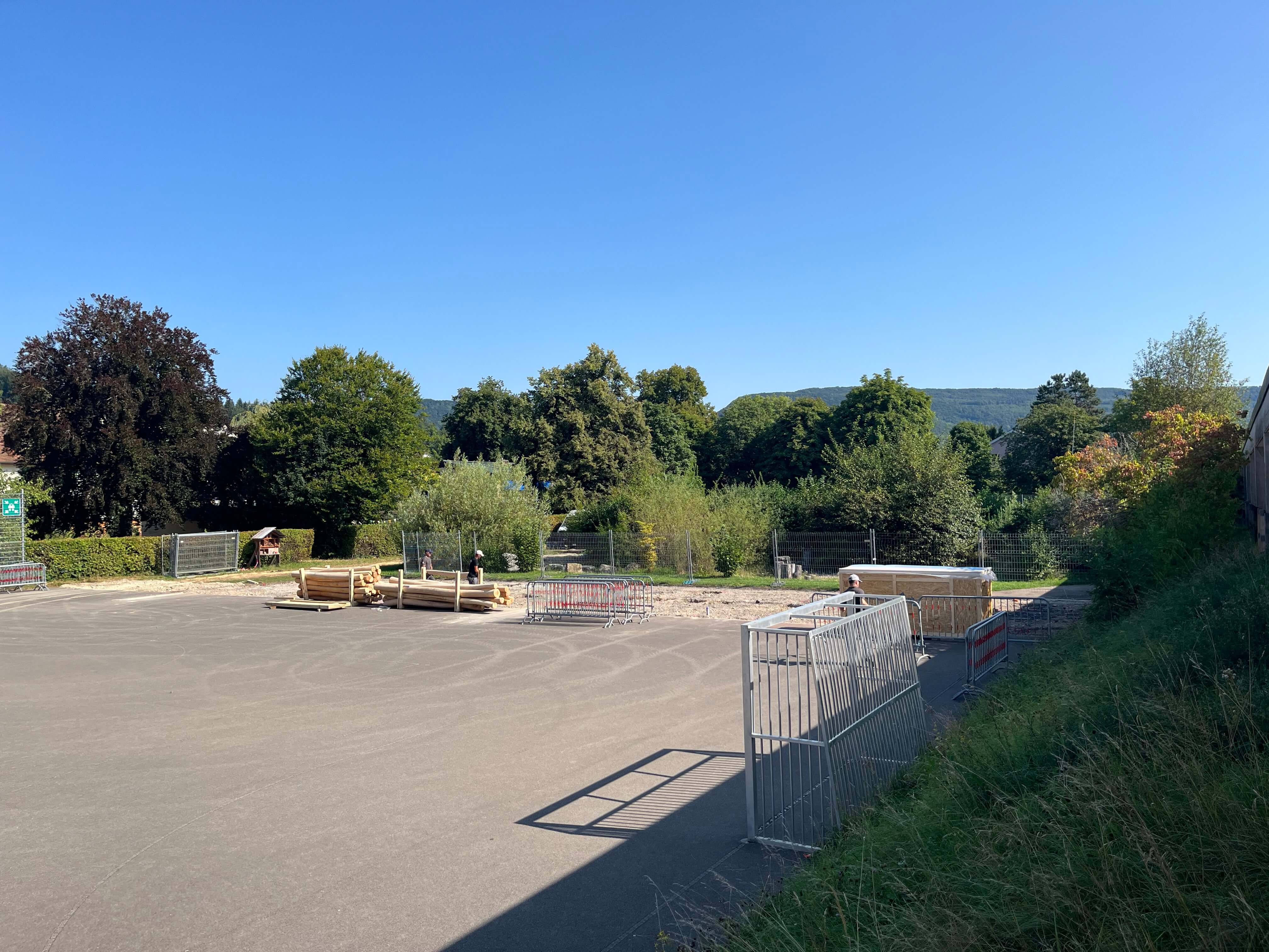 Weitläufiger Platz mit Holzstapeln, umgeben von Bäumen und blauer Himmel.