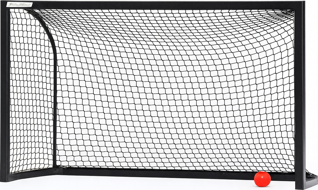 Schwarz Unihockeytor mit rote Ball
