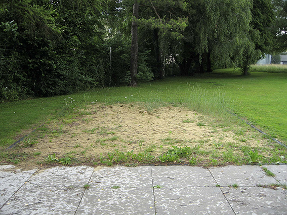 Un espace vide et sablonneux sur un chemin pavé, entouré d'arbres verts et de pelouse