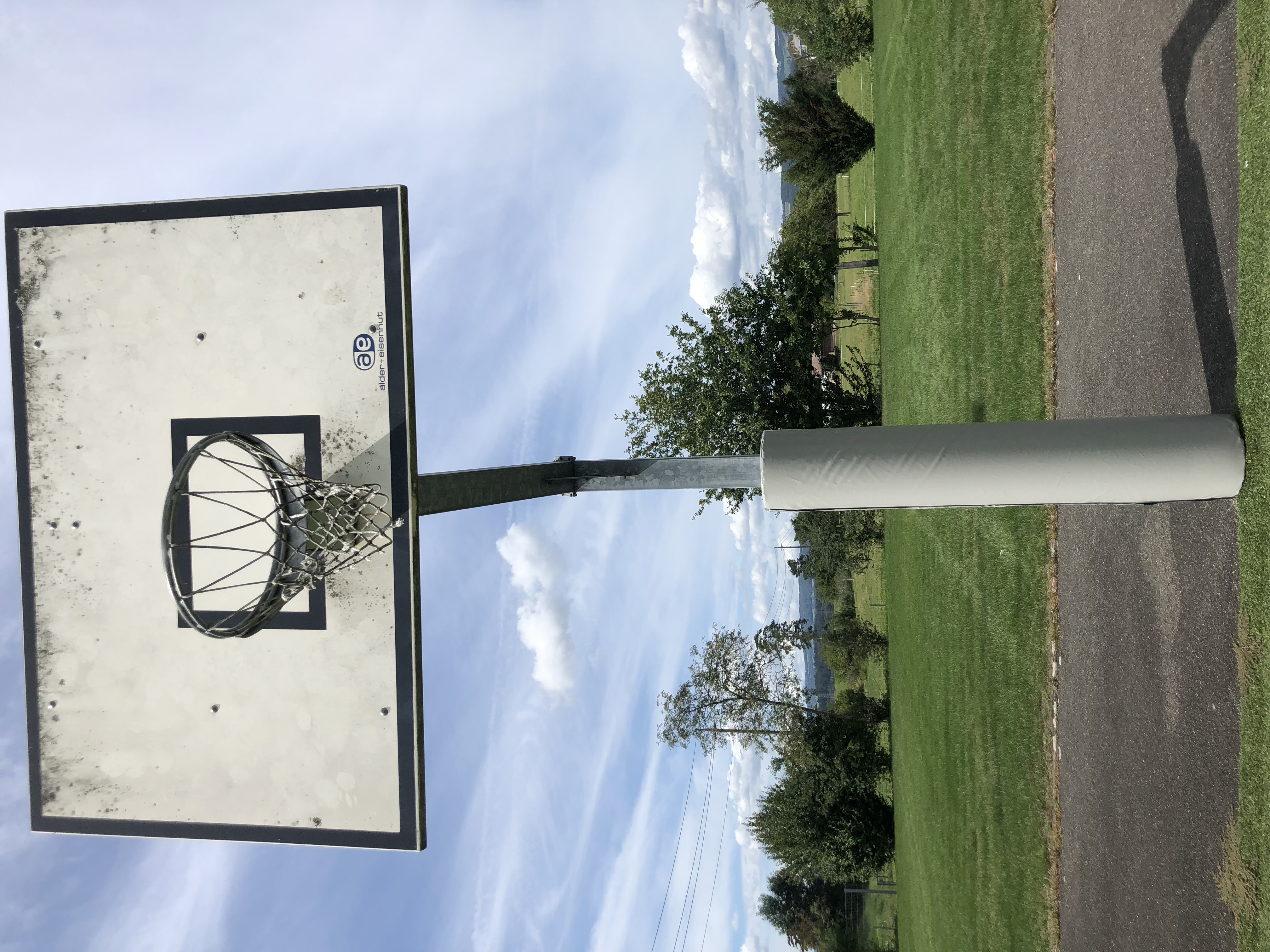 Ein Outdoor Basketballkorb mit gepolstertem Pfosten steht auf einem grünen Sportplatz mit Bäumen im Hintergrund.