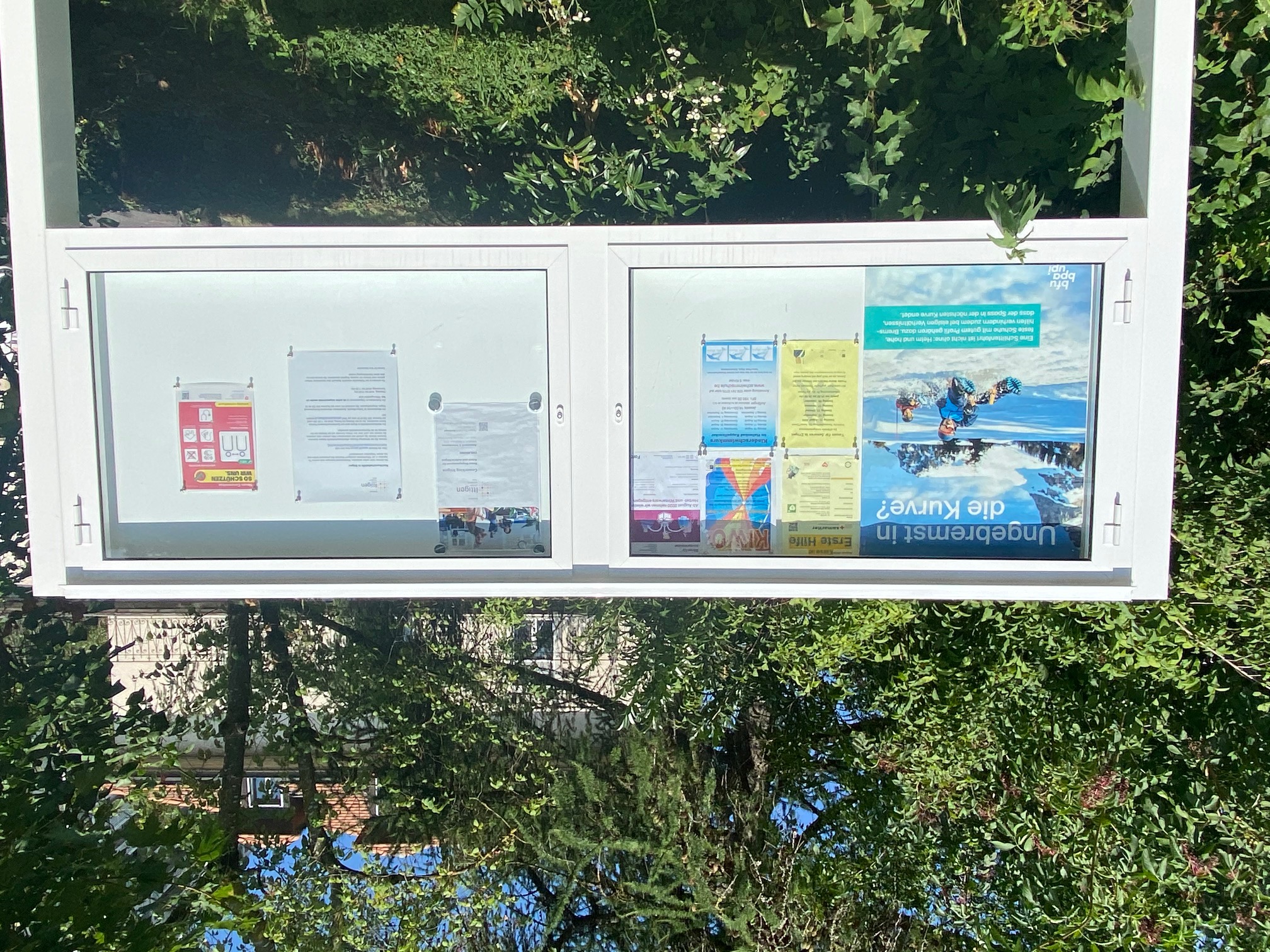 Ein Schaukasten im Freien mit mehreren Plakaten, darunter eines mit dem Titel 'Ungebremst in die Kurve?' umgeben von grünen Bäumen und Blättern.