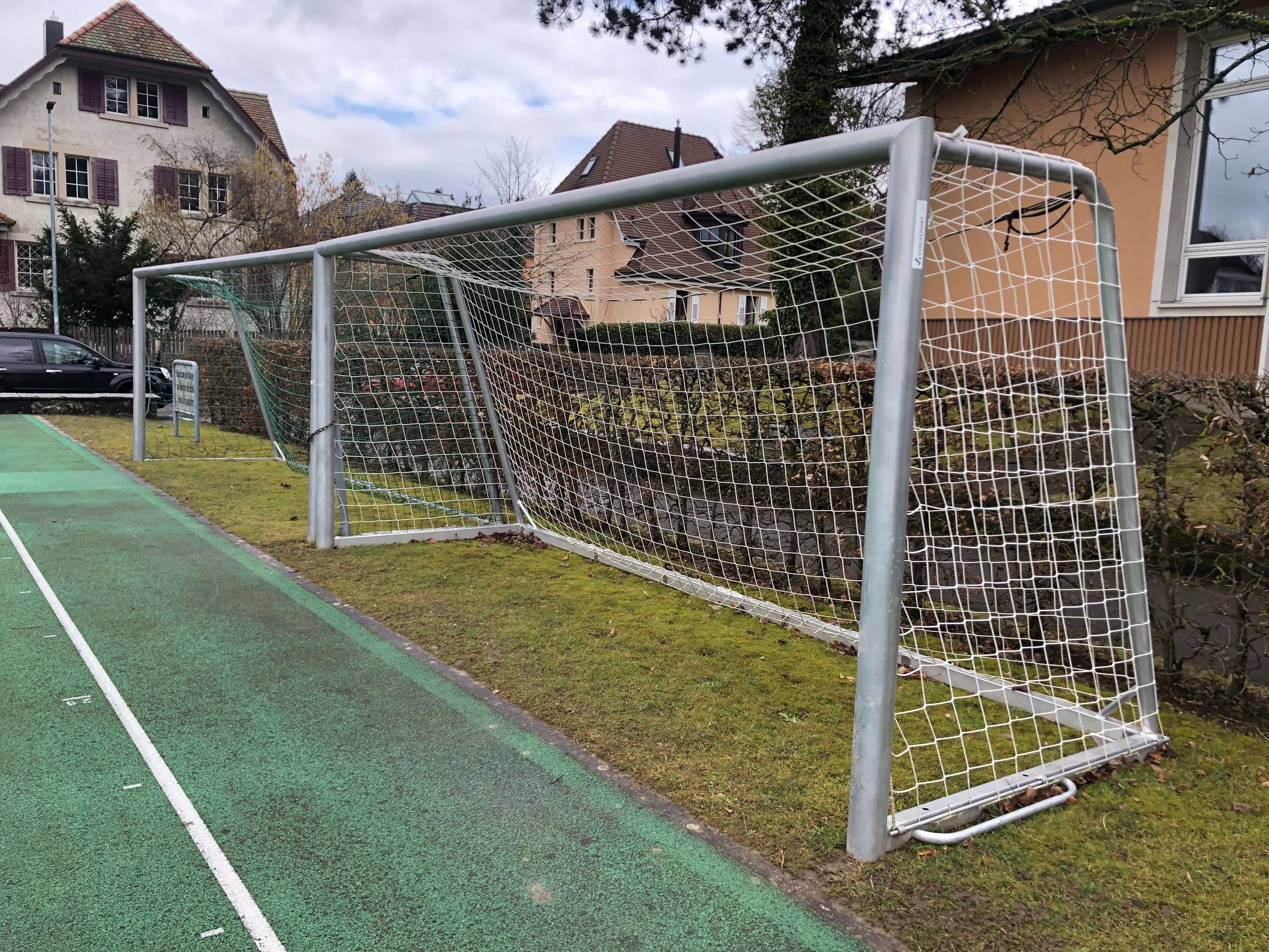 Ein leeres Metall-Fußballtor mit einem Netz steht auf einem grünen Sportplatz, umgeben von Häusern und Bäumen.