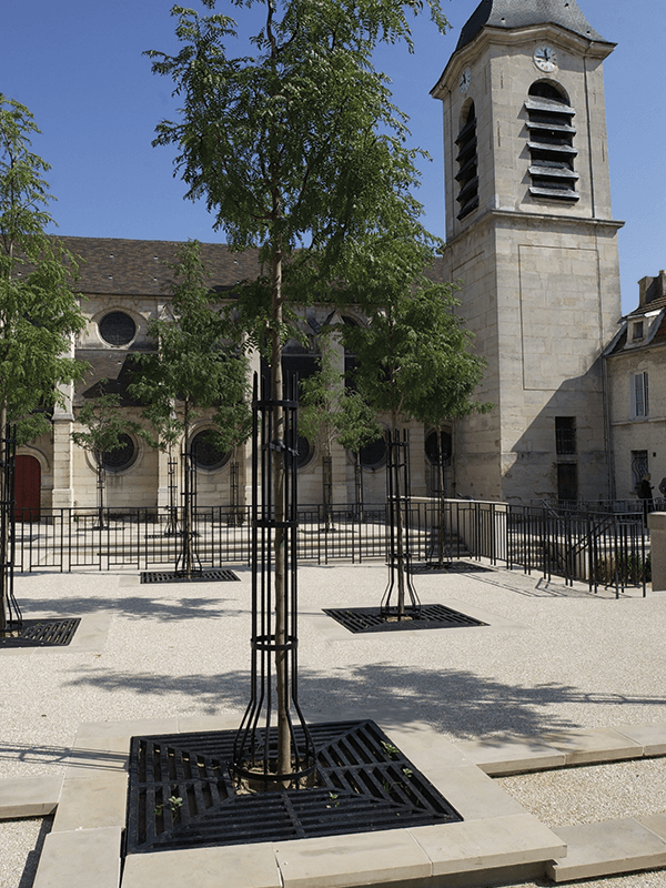 Gepflegte Bäume vor einer historischen Kirche mit Glockenturm und Rundfenstern an einem sonnigen Tag.