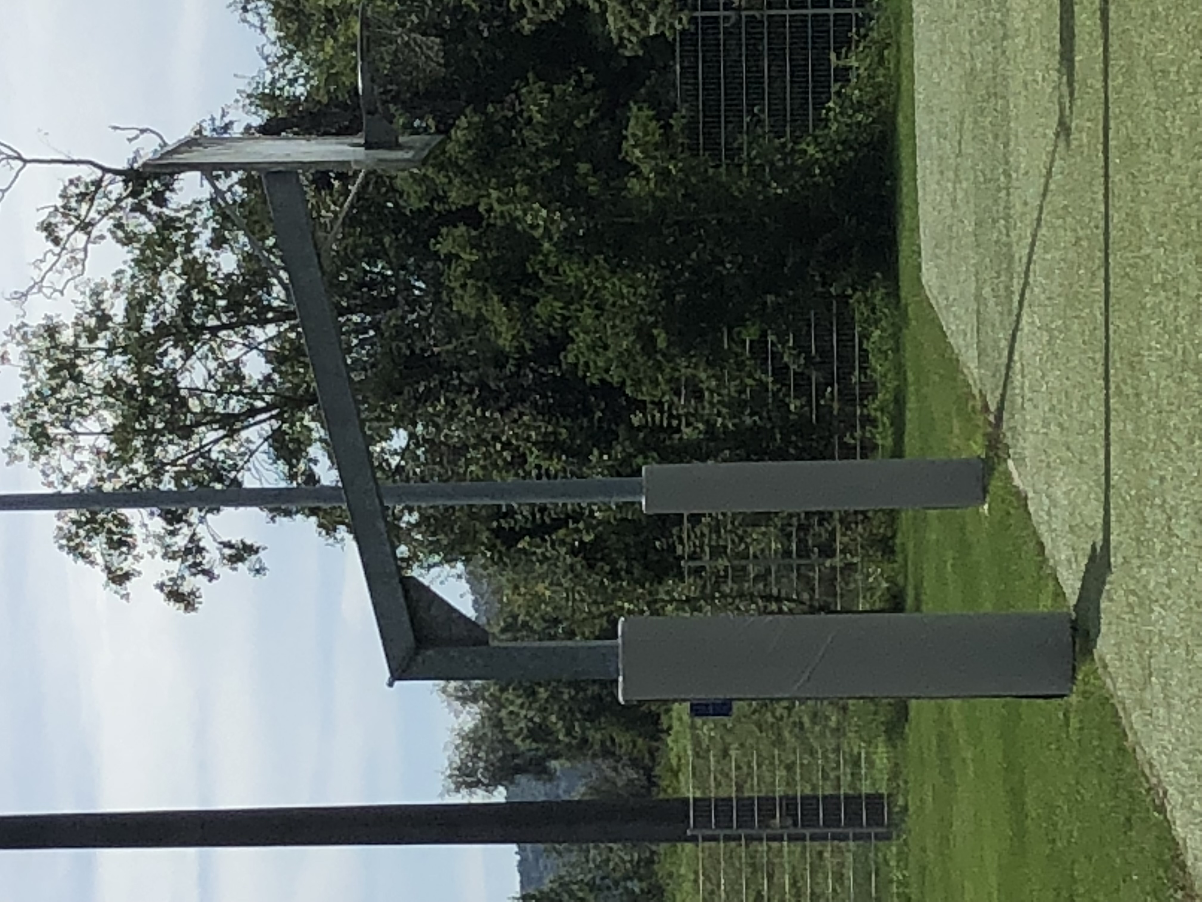Basketballkorb mit schützenden Polstern auf einem Freiplatz im Grünen